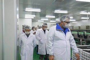 快樂購游大漠紅景區(qū) 枸杞田里拍大片 餐飲服務(wù)體驗(yàn)全攻略